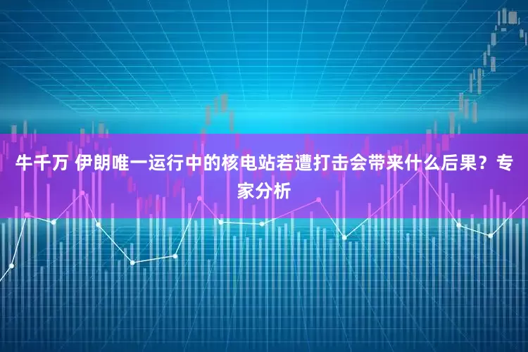 牛千万 伊朗唯一运行中的核电站若遭打击会带来什么后果？专家分析
