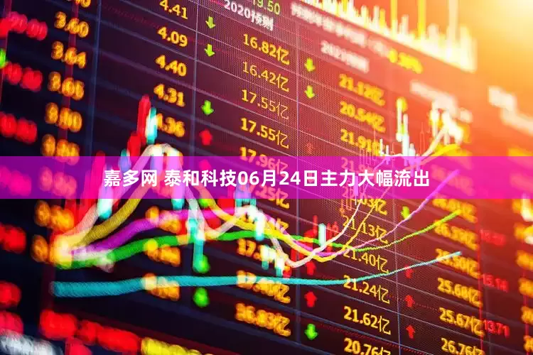 嘉多网 泰和科技06月24日主力大幅流出