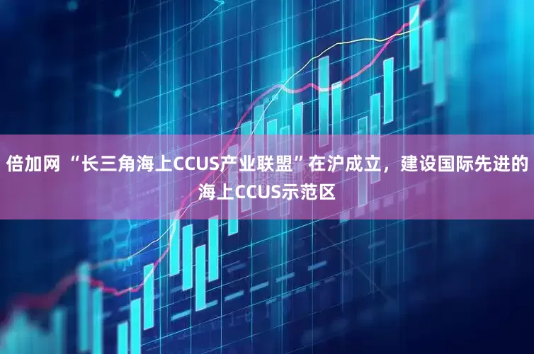 倍加网 “长三角海上CCUS产业联盟”在沪成立，建设国际先进的海上CCUS示范区
