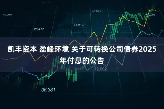 凯丰资本 盈峰环境 关于可转换公司债券2025年付息的公告